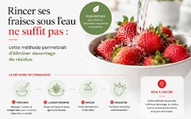 Rincer ses fraises sous l’eau ne suffit pas : cette méthode permettrait d’éliminer davantage de résidus.