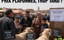 Plafonner le prix du mouton à une semaine de l’Aïd : mesure utile ou réaction trop tardive ?