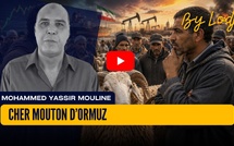 Cher mouton d’Ormuz
