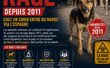 L’Italie enregistre son premier cas de rage depuis 2011 chez un chien entré du Maroc via l’Espagne. 
