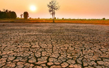 El Niño fait son retour : un épisode potentiellement parmi les plus puissants jamais observés