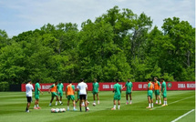 La FRMF fait le point sur les blessures des Lions de l’Atlas