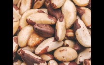 Le noix du Brésil, un allié naturel pour la santé de la thyroïde