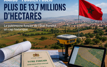 Foncier public : 13,7 millions d’hectares, mais quelle stratégie derrière le chiffre ?