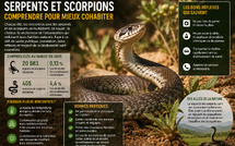 Le serpent n’envahit pas le Maroc… c’est le Maroc qui envahit son territoire