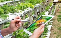 Oriental : l’ONCA mise sur l’accompagnement des agriculteurs pour optimiser l’irrigation localisée