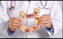 Santé digestive : pourquoi les cures détox ne sont pas la solution ?