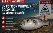 Alerte vacances : après les méduses, un nouveau danger gagne la Méditerranée