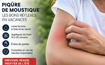 Piqûres de moustiques en vacances : les bons réflexes avant de sortir les remèdes de grand-mère
