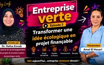 Entreprise verte : transformer une idée écologique en projet finançable