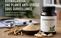 Ashwagandha : le succès d'une plante anti-stress face aux exigences de la science