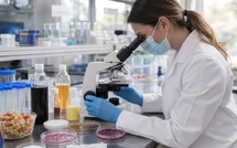 Édulcorants et microbiote : ce que l'étude dit, et surtout ce qu'elle ne dit pas