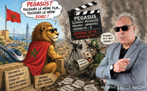 Pegasus Airlines… Le vol imaginaire qui décolle chaque été !!