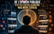 Le plus grand manipulateur de l’opinion publique n’est peut-être pas l’algorithme, mais notre cerveau