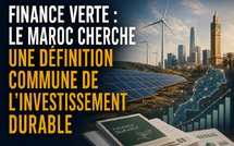 Finance verte : le Maroc cherche une définition commune de l'investissement durable