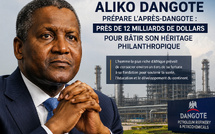  Un milliardaire nigérian décide de léguer 1/3 de sa fortune au développement de l'Afrique