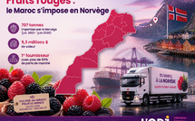 Fruits rouges : le Maroc s’impose en Norvège