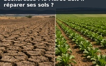 ​Sécheresse : après les barrages et le dessalement, le Maroc doit-il réparer ses sols ?