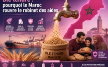 Blé tendre : pourquoi le Maroc rouvre le robinet des aides