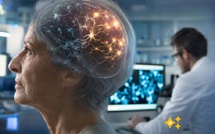 Alzheimer : peut-on rajeunir les neurones sans effacer la mémoire ?