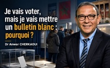 Je vais voter, mais je vais mettre un bulletin blanc : pourquoi ?