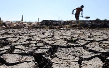 El Niño se renforce : quels risques pour le climat et l’agriculture au Maroc ?