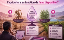 Et si le Maroc subventionnait enfin l’agriculture en fonction de l’eau disponible ?