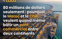 ​80 millions de dollars seulement : pourquoi le Maroc et le Chili veulent quand même bâtir un pont commercial entre deux continents ?