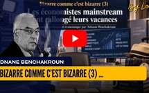 [vidéo] : Bizarre comme c’est bizarre (3) — Les économistes mainstream ont rallongé leurs vacances
