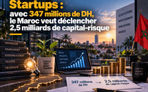 Startups : avec 347 millions de DH, le Maroc veut déclencher 2,5 milliards de capital-risque