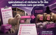Aides au cheptel : Rachdi fustige les spéculateurs et réclame la fin des subventions sans garanties