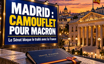 Traité franco-espagnol : le camouflet du Sénat en pleine visite de Macron