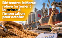 Blé tendre : le Maroc relève fortement la prime à l’importation pour octobre
