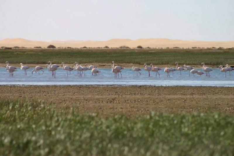 Lagune de Naila Lagune de Naila
