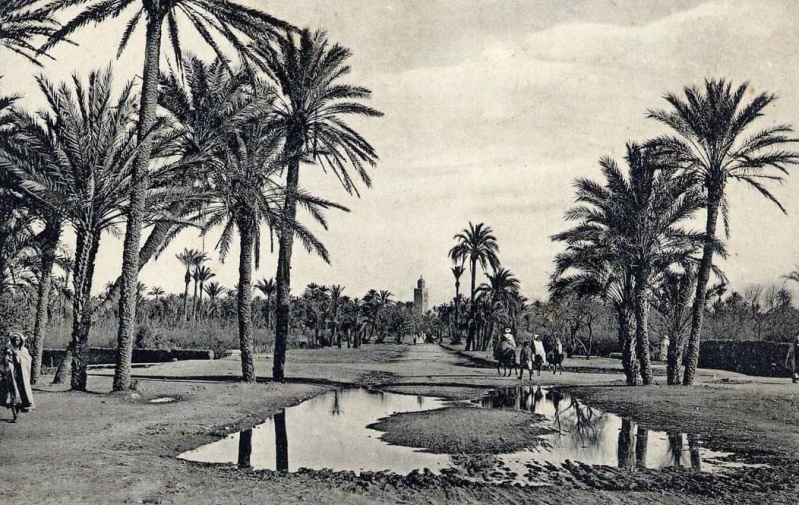 Marrakech - avenue de la koutoudia Marrakech - avenue de la koutoudia