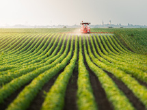 Ruralité : les voix basses de ceux qui partent Ruralité : les voix basses de ceux qui partent